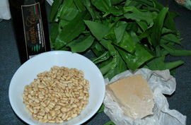 Die weiteren Zutaten für ein Bärlauchpesto: geröstete Pinienkerne, Parmesan und Olivenöl
